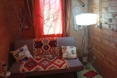 Casă cu 2 camere în Bițina-Pământeni - 6