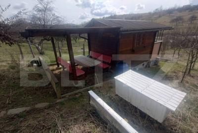 Teren 300 mp + Cabana,zona Livezile,Valea Lunga - 1