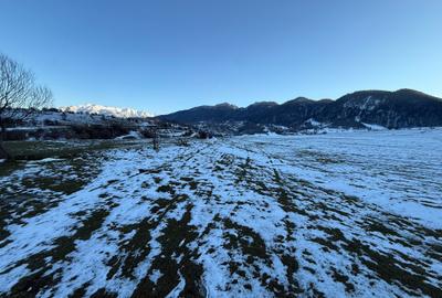 Teren Construcții intravilan de 667 mp, în Zărnești - 7