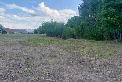 Teren Cerbu - Albota - cu PROIECT CASA si AVIZE - 1