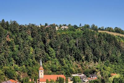 Teren Construcții intravilan de 1577 mp, în Schei - 2