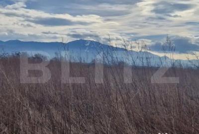 Teren de 1500 mp, în Central - 3