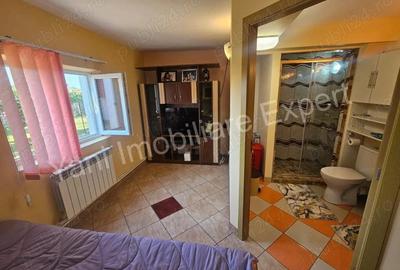 Casa de vanzare in comuna ?uici, sat Rudeni, jude? Arge?. - 3