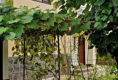 Casă cu 4 camere în Nisipoasa - 1