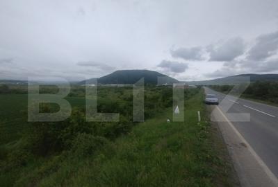 Teren extravilan de vanzare, 51 ari, zona Crainimat - 3