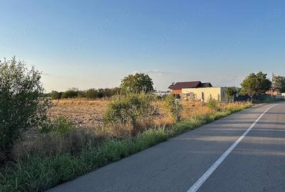 Teren de 6700 mp, în Olteni (Uliești)