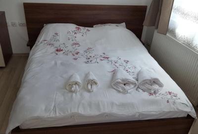Apartament cu 10 camere în Lenin Sud