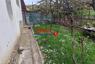 Casă cu 3 camere cu Teren 1338 Mp în Meteș - 7