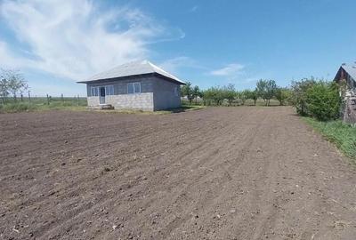 Casă cu 4 camere cu Teren 1300 Mp în Avântu - 3