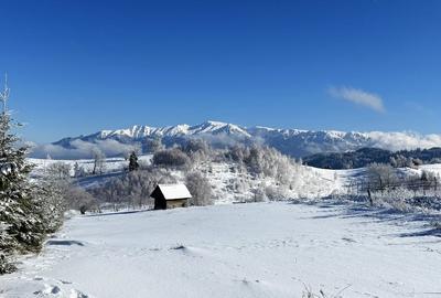 Teren satul Sirnea, intravilan, deschidere 120 m la drum asfaltat, - 12