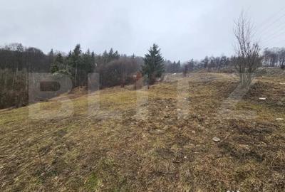 Casă cu 3 camere cu Teren 7297 Mp în Dăroaia - 1