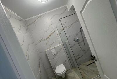 Apartament cu 2 camere decomandat în Palazu Mare - 7