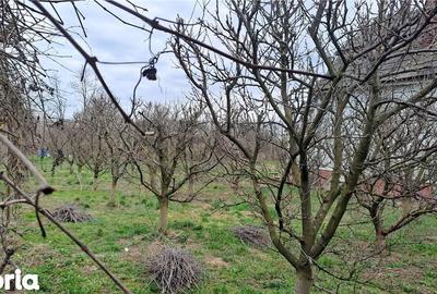 Casă cu 2 camere cu Teren 1000 Mp în Cefa - 2