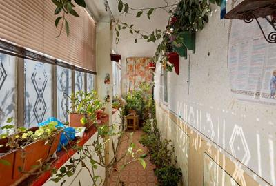 Gospodarie autentică bănățeană, cu teren generos și livadă – Frumușeni - 12