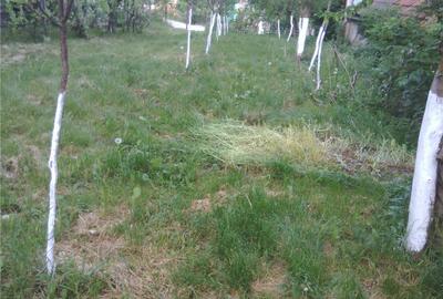 Casă cu 5 camere cu Teren 1200 Mp în Ludoș - 9