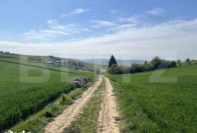 Teren de 15900 mp, în Sâncraiu de Mureș - 2