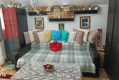 Garsonieră în Paltin - 15