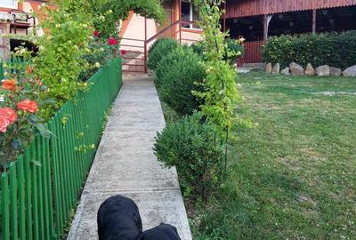 Vand casa la 34km de Bistrita. - 2