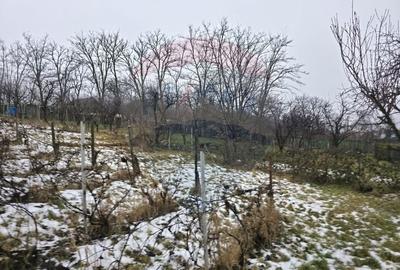 Teren Construcții intravilan de 4516 mp, în Doina - 18