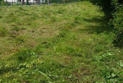 Teren de 3665 mp, în Păulești - 3