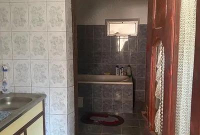 Casa 133 mp utili, 3300 mp teren, Ciutura - 2