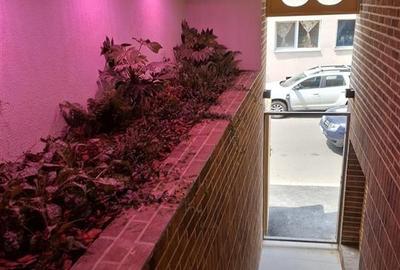 Inchiriere spatiu imobil finalizat 2025 | Bd Unirii | aproape de Tribunal | pret - 17