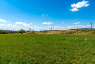 Teren Construcții extravilan de 12400 mp, în Pătrăuți - 2