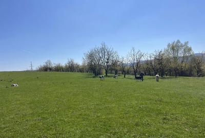 Spațiu comercial, în Central - 4