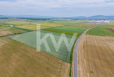 Teren de vanzare I 8 Euro/ mp I Deschidere la drum - Harman Teren de vanzare I 8 Euro/ mp I Deschidere la drum - Harman - 2