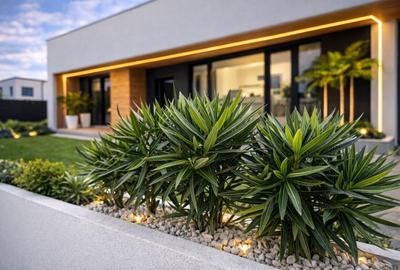 Casă Parter de Lux – Stradă Asfaltată - 6