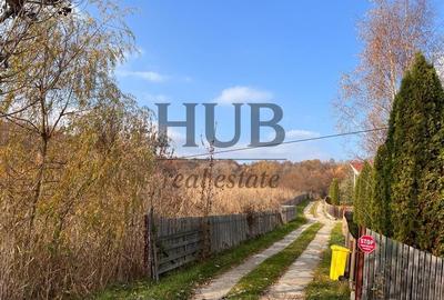 Teren Construcții extravilan de 1095 mp, în Podiș - 3