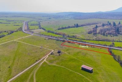 Teren 7786 mp/Curți construcții/Benzinărie - 7