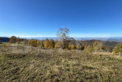 Teren de 6360 mp, în Central - 1