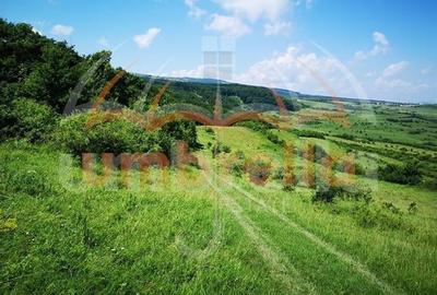 Teren de vanzare in Cluj-Napoca, Strada Soporului 2.900 mp