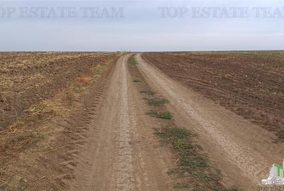 Oferim spre vanzare 6 loturi de teren extravilan (agricol) in Petrachioaia ILFOV - 17