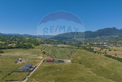 Teren Construcții intravilan de 2100 mp, în Bran - 7