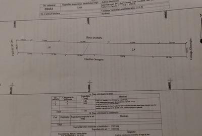 Teren de 3500 mp, în Scobinți - 4