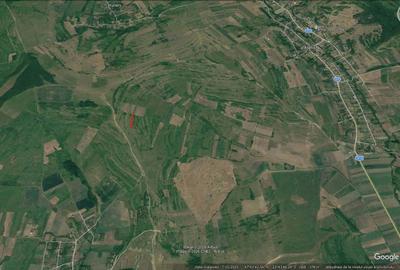 Spațiu comercial, în Aluniș - 1