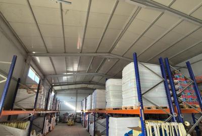 Hale | Afumati DN2 | 1000mp - 10