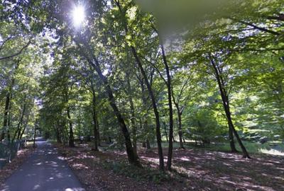 Teren cu deschidere la Padurea Snagov- Gruiu - 2