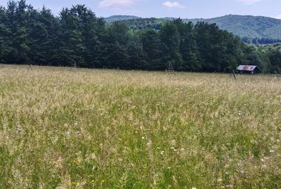 Teren intravilan de 5000, plat, orizontal la poalele muntelui, pe malul Doftanei - 11