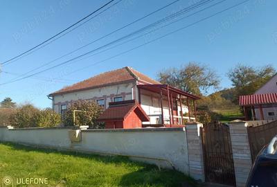 Vand casa Simeria veche - 1