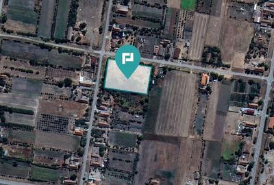 Teren intravilan 6115mp pentru investiții Firiteaz - 7