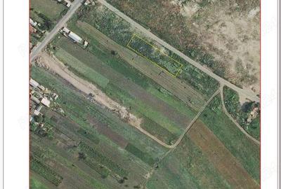 Jilava Sabarului - 3