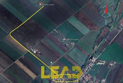 Casă cu Teren 504 Mp în Hălchiu - 2