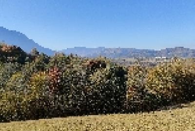 Teren Bran Tohanita 6800mp! - 3