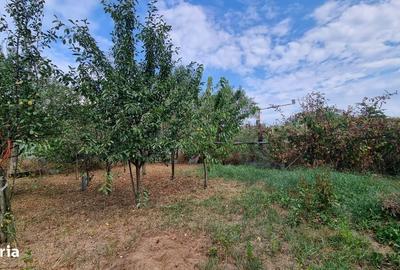 Casă cu 4 camere în Iezureni - 1