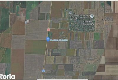 Teren de 20000 mp, în Dragalina - 4