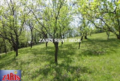 Teren de 3658 mp, în Bobicești - 7