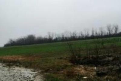 Teren Extravilan Manesti, jud. Prahova - ID: R1979552 - 7